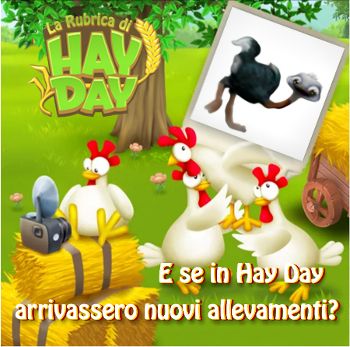 E se in Hay Day… arrivassero nuovi animali da allevamento?